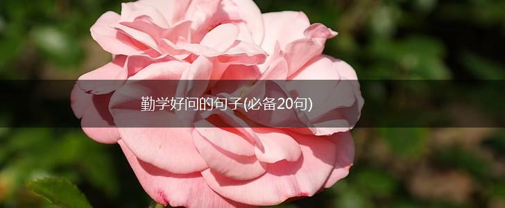 勤学好问的句子(必备20句),第1张