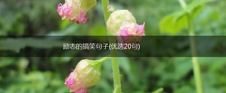励志的搞笑句子(优选20句),第1张