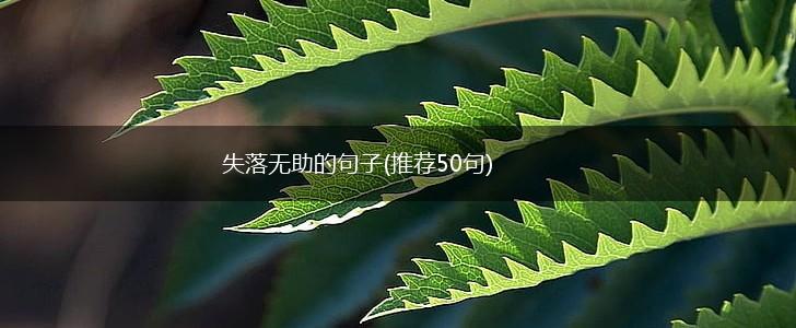 失落无助的句子(推荐50句),第1张