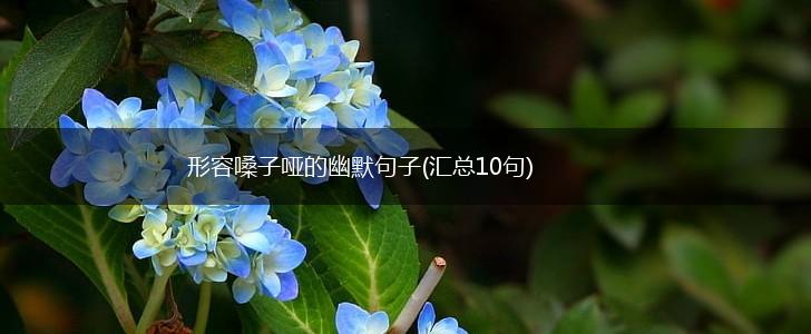 形容嗓子哑的幽默句子(汇总10句),第1张