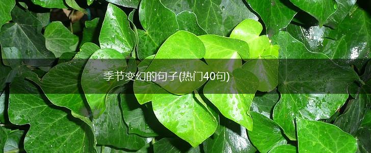季节变幻的句子(热门40句),第1张