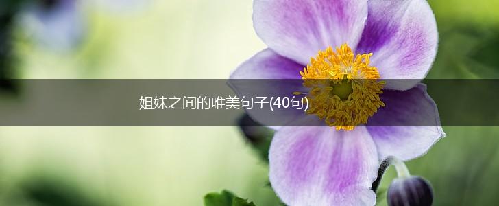 姐妹之间的唯美句子(40句),第1张