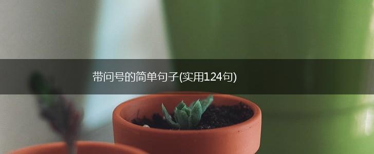 带问号的简单句子(实用124句),第1张