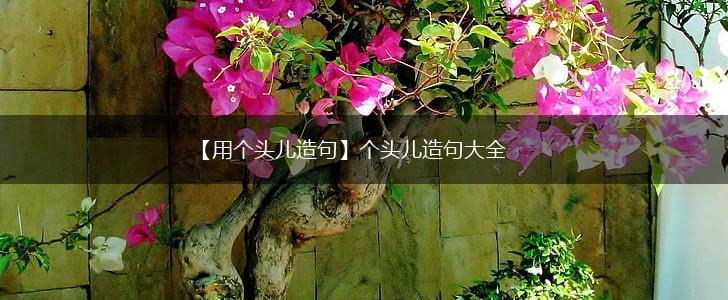【用个头儿造句】个头儿造句大全,第1张 【用个头儿造句】个头儿造句大全,第1张