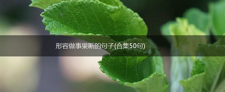 形容做事果断的句子(合集50句),第1张