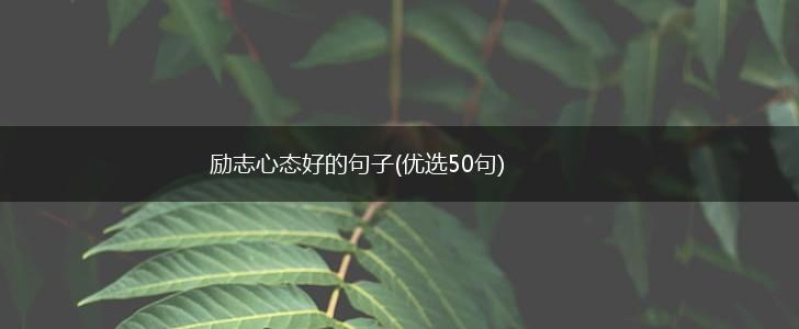 励志心态好的句子(优选50句),第1张