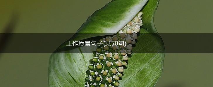 工作愿景句子(共50句),第1张