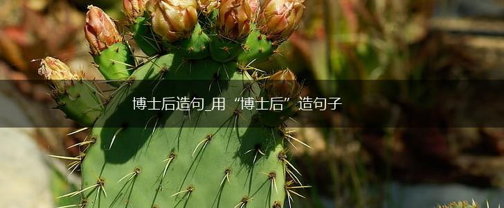 博士后造句_用“博士后”造句子,第1张