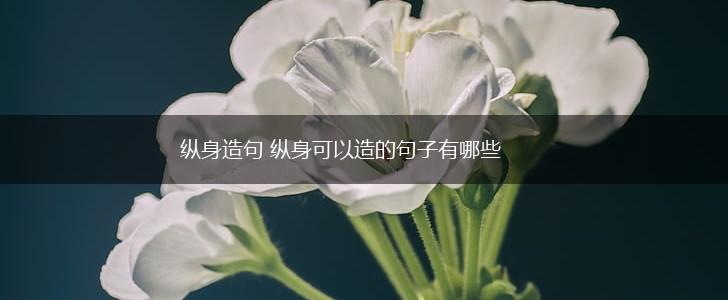 纵身造句 纵身可以造的句子有哪些,第1张