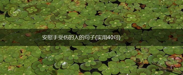 安慰手受伤的人的句子(实用40句),第1张