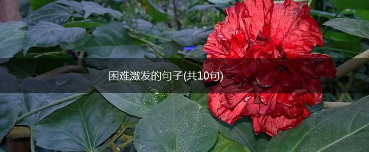 困难激发的句子(共10句),第1张