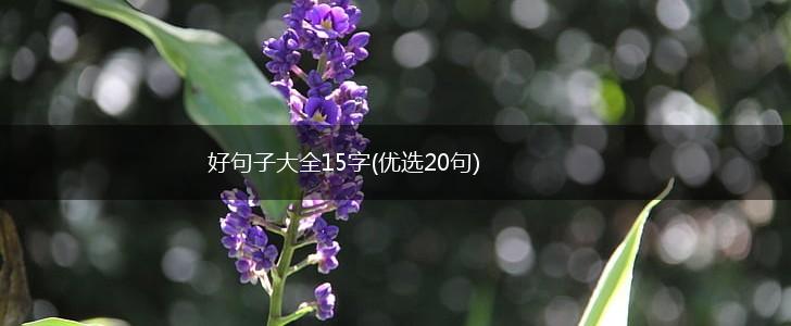 好句子大全15字(优选20句),第1张