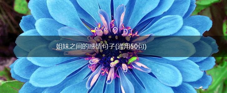 姐妹之间的感情句子(通用50句),第1张