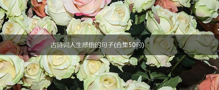 古诗词人生感悟的句子(合集50句),第1张