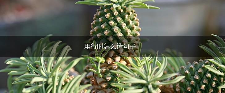 用行时怎么造句子,第1张 用行时怎么造句子,第1张
