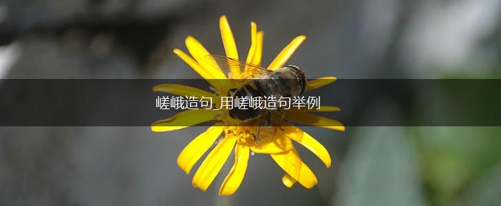 嵯峨造句_用嵯峨造句举例,第1张