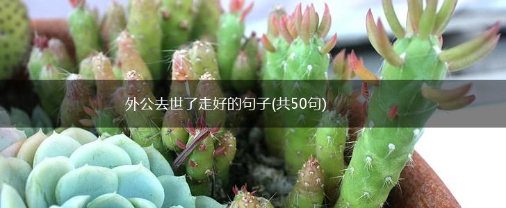 外公去世了走好的句子(共50句),第1张