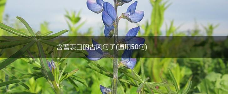 含蓄表白的古风句子(通用50句),第1张