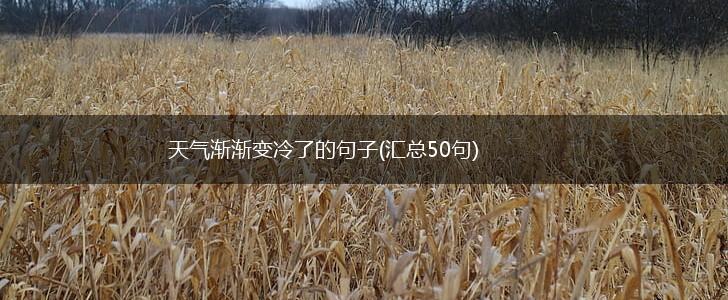 天气渐渐变冷了的句子(汇总50句),第1张