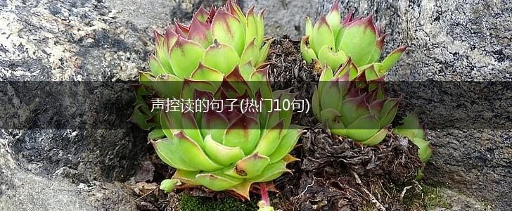 声控读的句子(热门10句),第1张