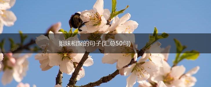 姐妹相聚的句子(汇总50句),第1张