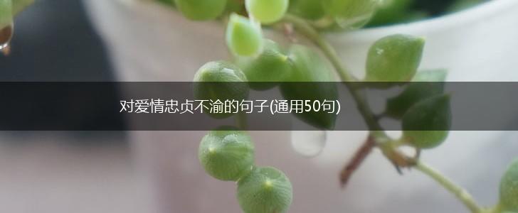 对爱情忠贞不渝的句子(通用50句),第1张