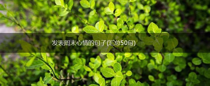 发表周末心情的句子(汇总50句),第1张