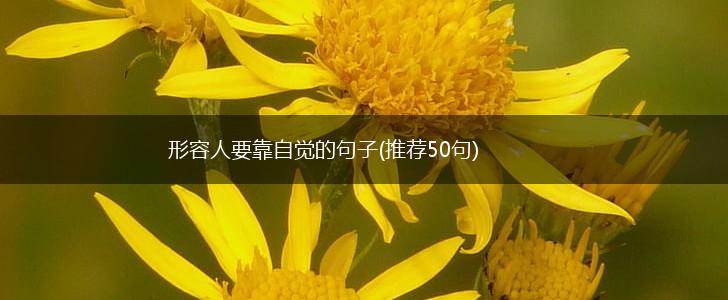 形容人要靠自觉的句子(推荐50句),第1张