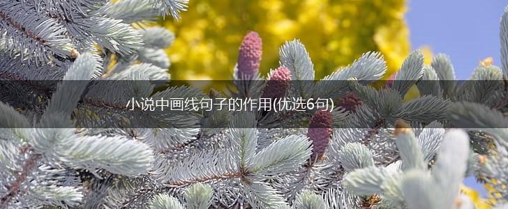 小说中画线句子的作用(优选6句),第1张