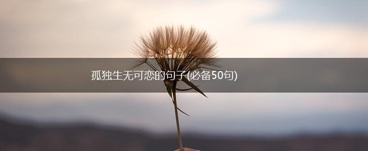 孤独生无可恋的句子(必备50句),第1张