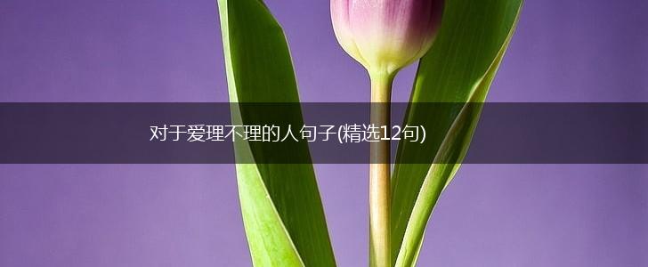 对于爱理不理的人句子(精选12句),第1张