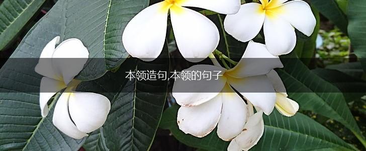 本领造句,本领的句子,第1张