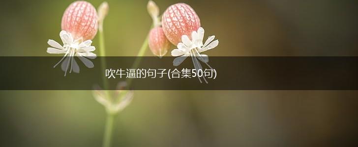 吹牛逼的句子(合集50句),第1张