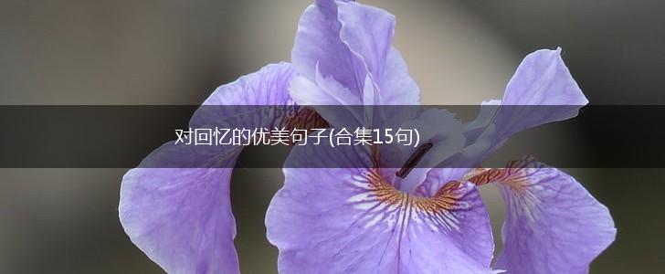 对回忆的优美句子(合集15句),第1张