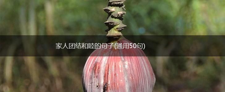 家人团结和睦的句子(通用50句),第1张