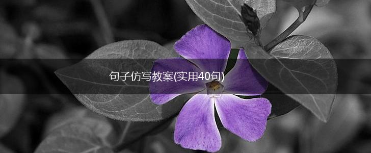 句子仿写教案(实用40句),第1张