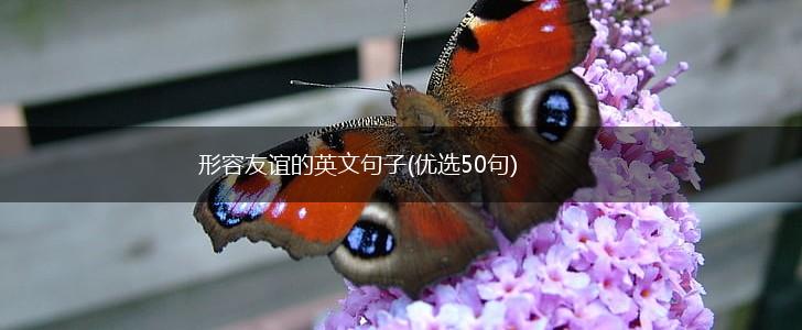 形容友谊的英文句子(优选50句),第1张
