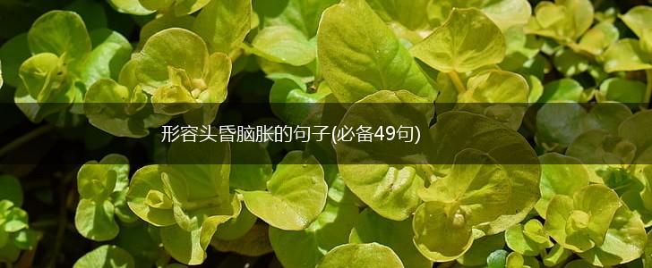形容头昏脑胀的句子(必备49句),第1张
