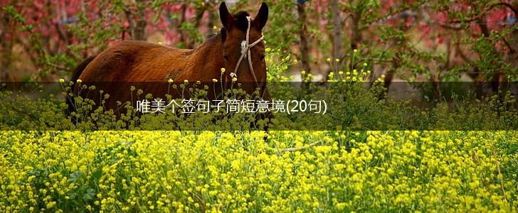 唯美个签句子简短意境(20句),第1张