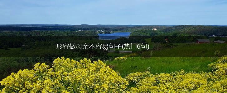 形容做母亲不容易句子(热门6句),第1张