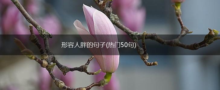 形容人胖的句子(热门50句),第1张