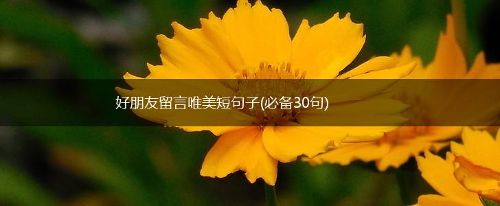 好朋友留言唯美短句子(必备30句),第1张