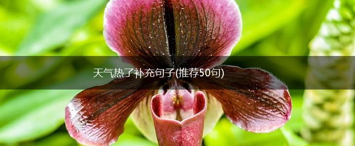天气热了补充句子(推荐50句),第1张