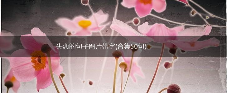 失恋的句子图片带字(合集50句),第1张