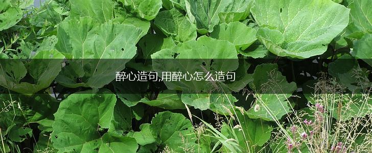 醉心造句,用醉心怎么造句,第1张