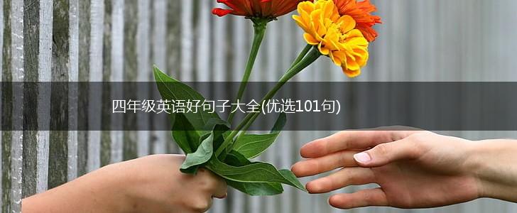 四年级英语好句子大全(优选101句),第1张