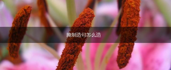 腌制造句怎么造,第1张