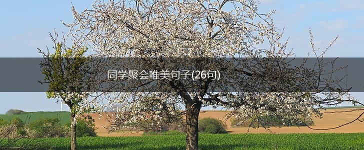 同学聚会唯美句子(26句),第1张