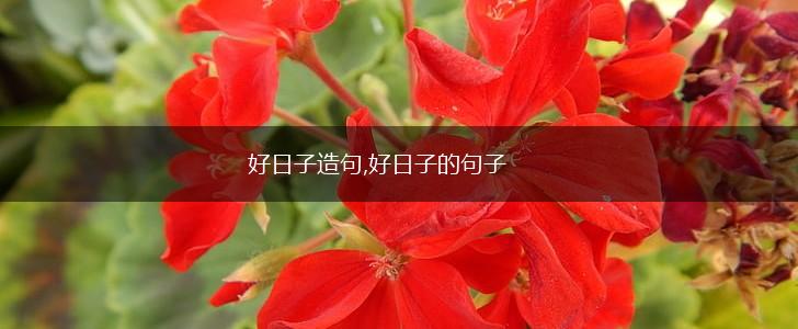 好日子造句,好日子的句子,第1张 好日子造句,好日子的句子,第1张