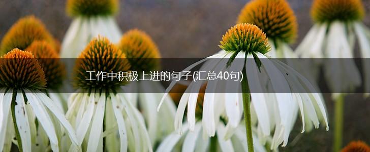 工作中积极上进的句子(汇总40句),第1张